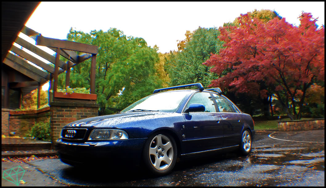 Name:  DSC_0018adfgfh.jpg
Views: 97
Size:  171.1 KB