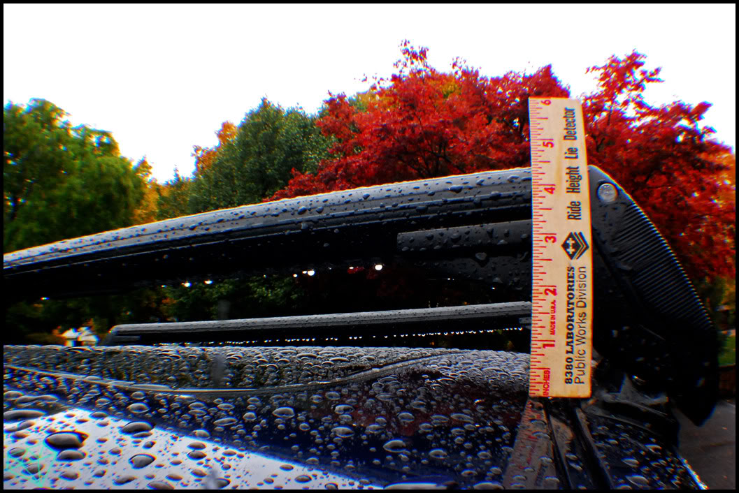 Name:  DSC_0027asdf.jpg
Views: 92
Size:  191.0 KB