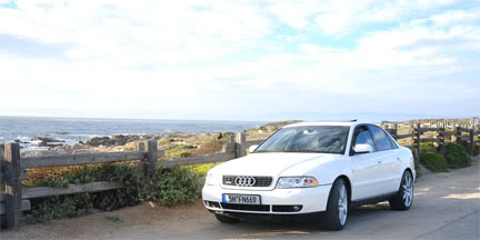 Name:  DSC_0086-1.jpg
Views: 20
Size:  21.2 KB