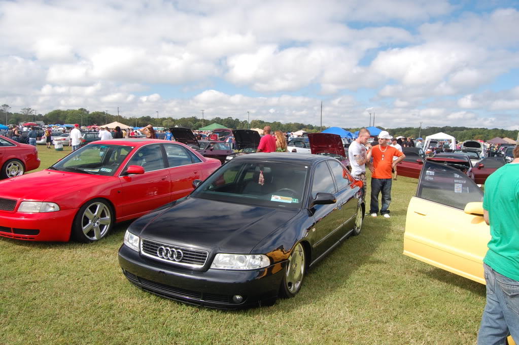 Name:  DSC_1378.jpg
Views: 74
Size:  195.9 KB