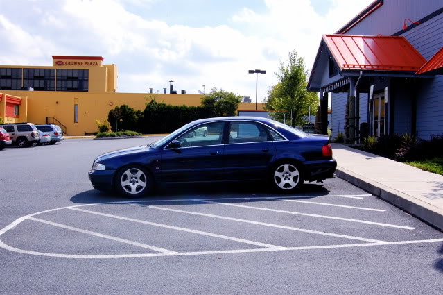 Name:  DSC_0001-1.jpg
Views: 91
Size:  97.9 KB