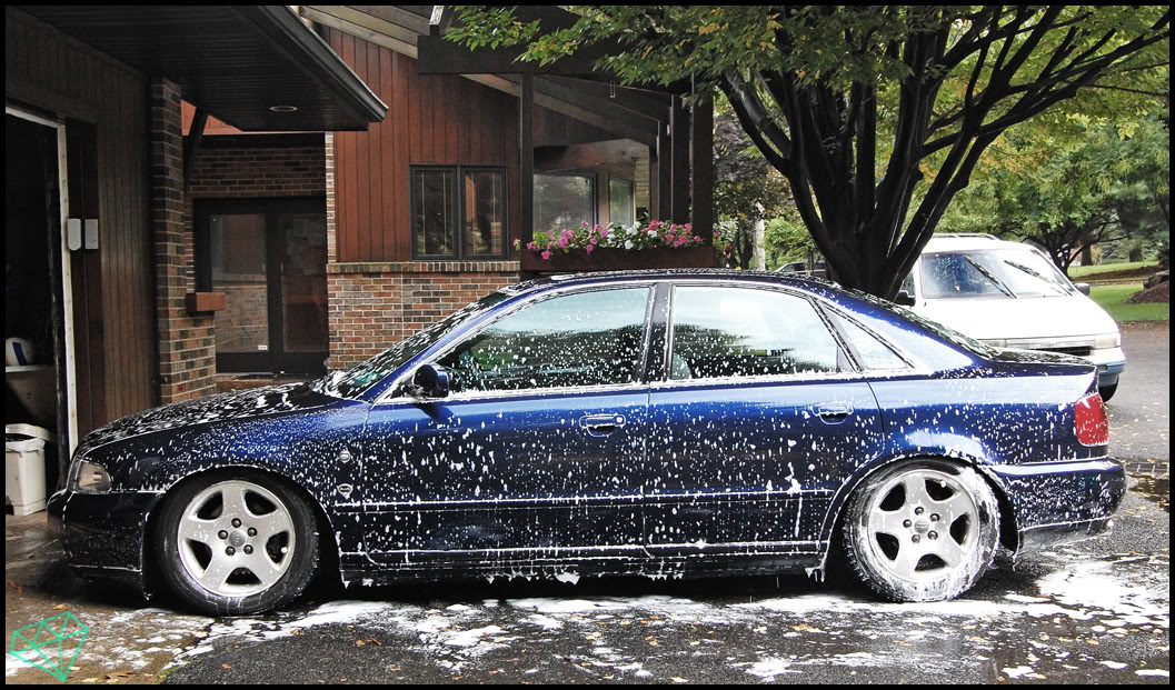 Name:  DSC_0080-1.jpg
Views: 113
Size:  256.0 KB