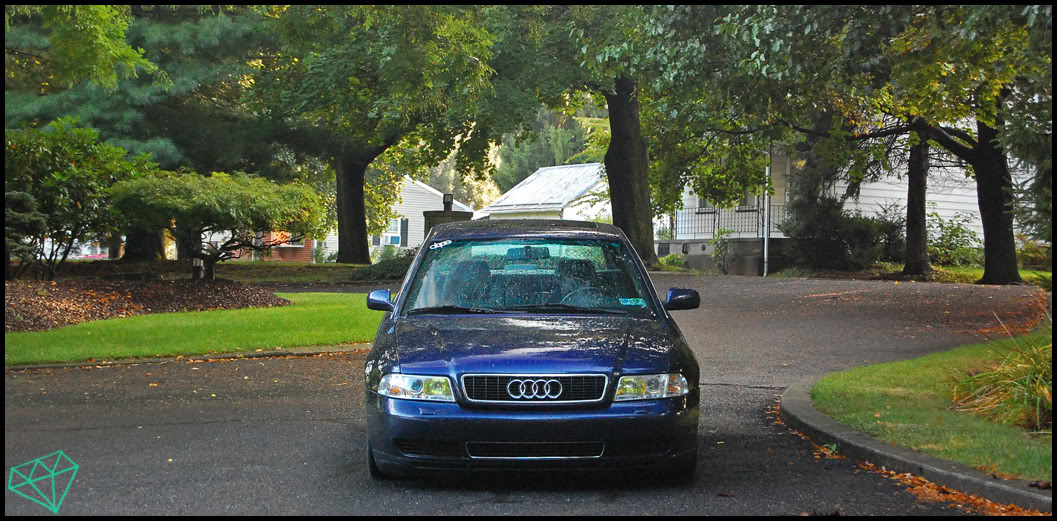 Name:  DSC_0182.jpg
Views: 89
Size:  193.4 KB