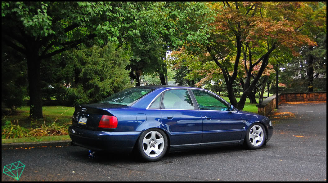 Name:  DSC_0139.jpg
Views: 89
Size:  225.7 KB