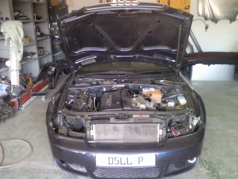 Name:  Photo007.jpg
Views: 290
Size:  79.5 KB