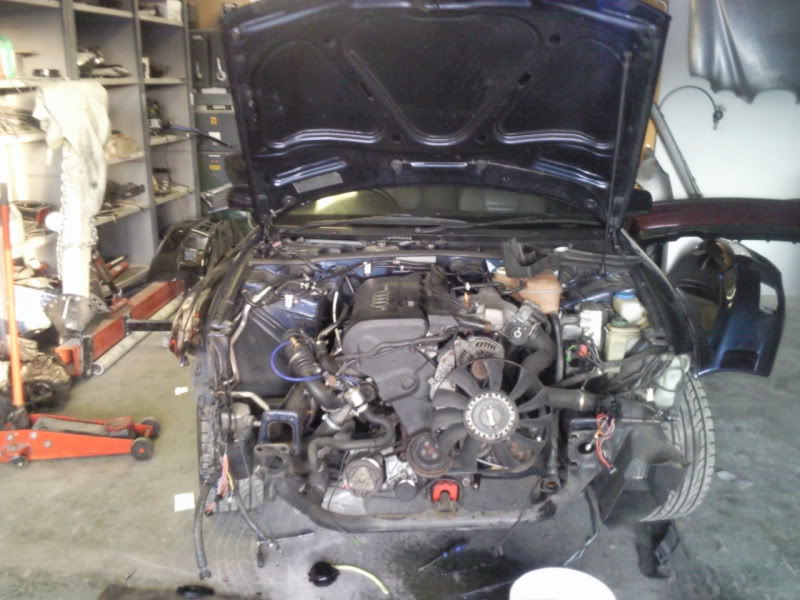 Name:  Photo010.jpg
Views: 364
Size:  82.3 KB