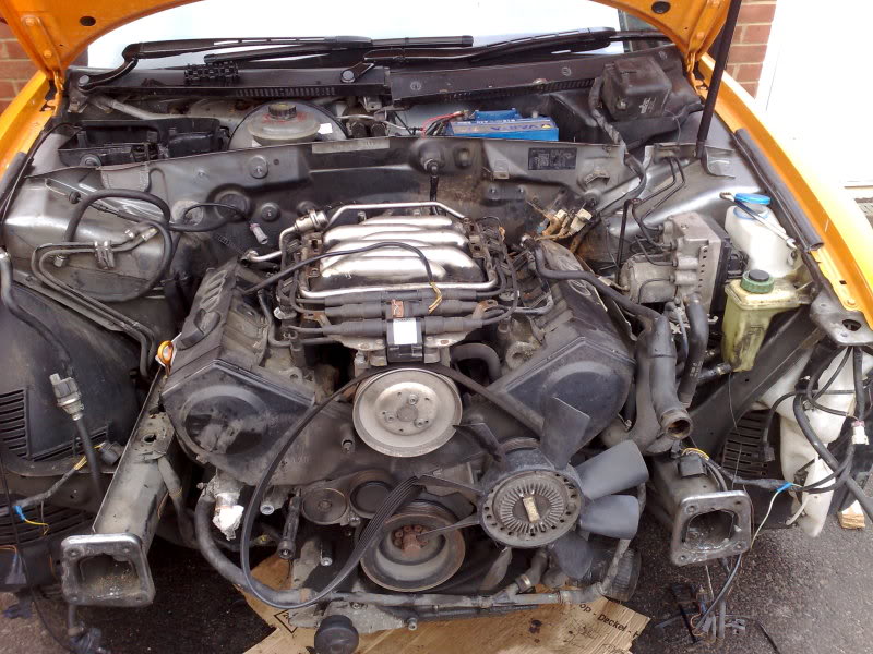 Name: 03072009516.jpg
Views: 170
Size: 146.9 KB
