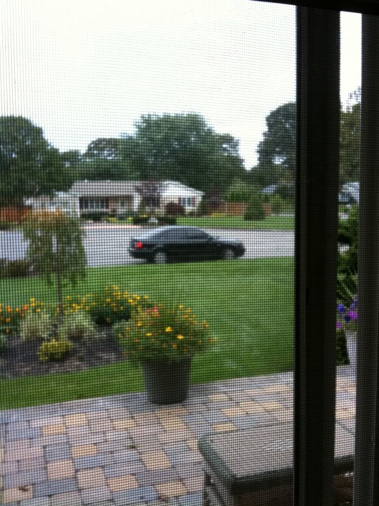 Name:  IMG_0390.jpg
Views: 56
Size:  206.8 KB