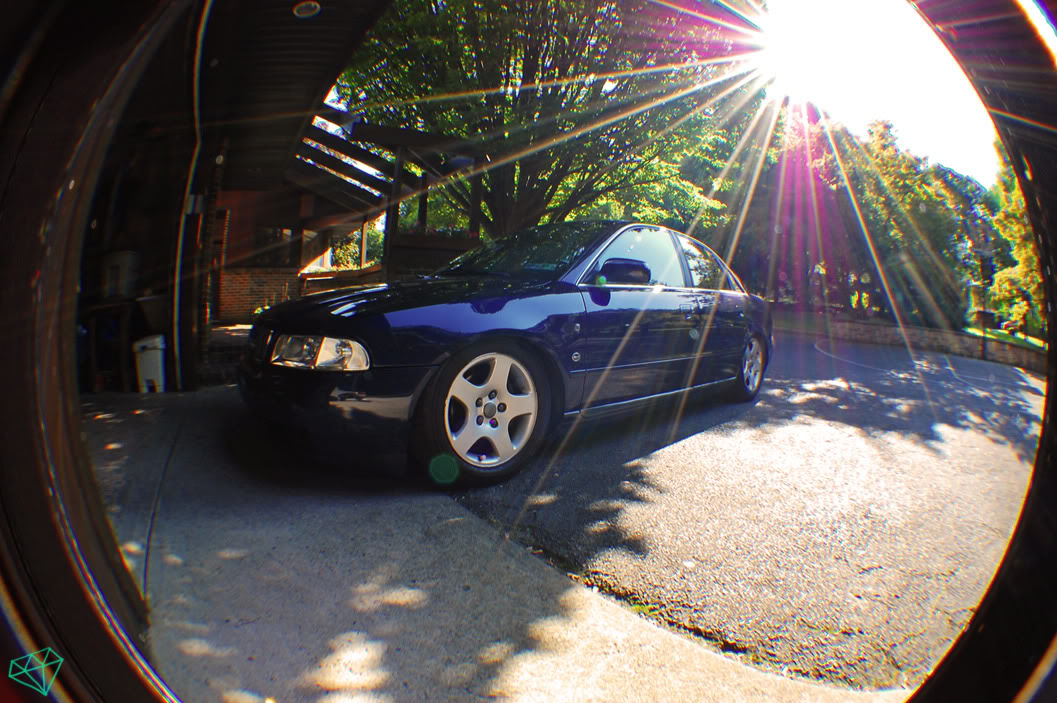 Name:  DSC_0003asdfghj.jpg
Views: 91
Size:  185.7 KB