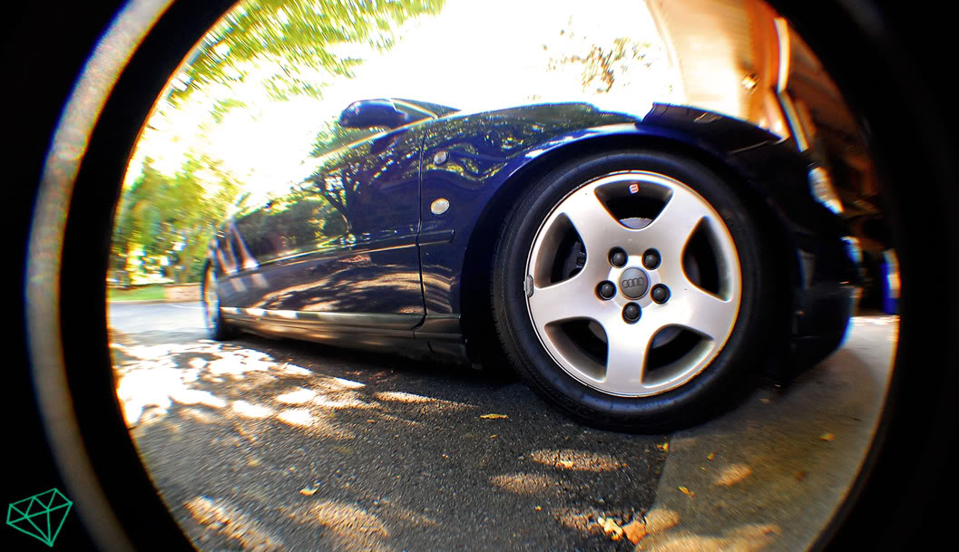 Name:  DSC_0014asdfgh.jpg
Views: 88
Size:  147.8 KB