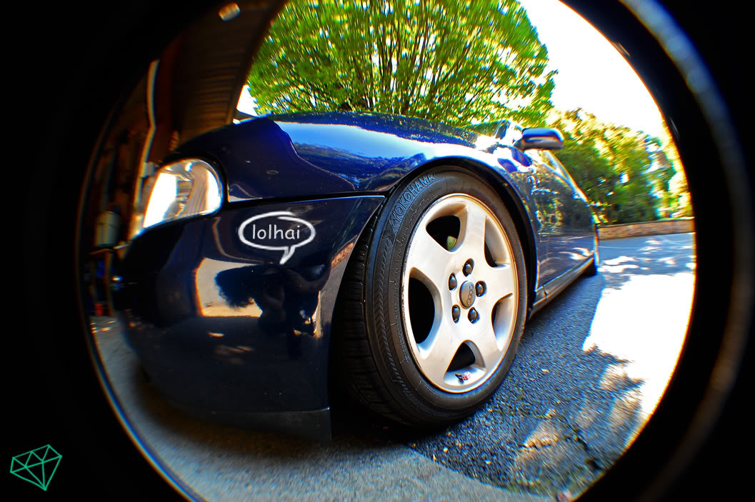 Name:  DSC_0010sdfkhsg.jpg
Views: 65
Size:  170.6 KB