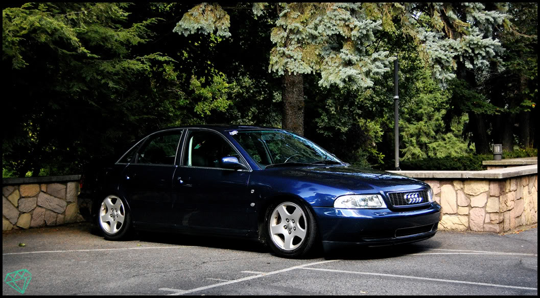 Name:  DSC_0041asdfgh.jpg
Views: 100
Size:  191.9 KB