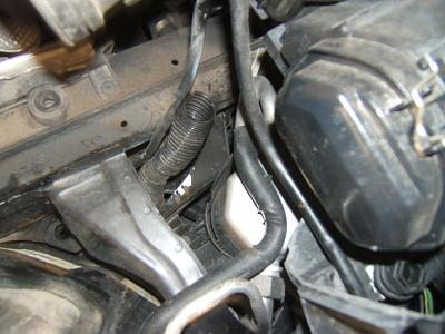Uhm, hose connected to nothing?-dscf1473.jpg
