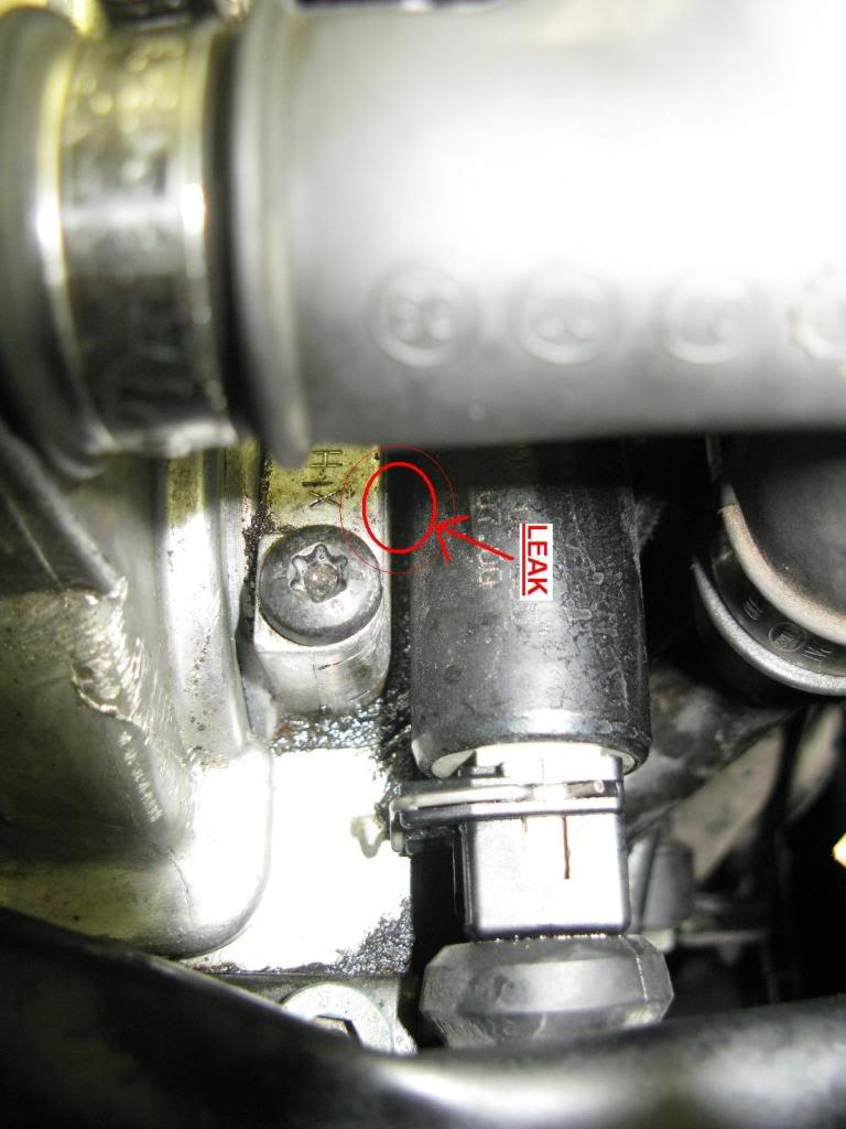 Name:  IMG_1528b.jpg
Views: 39
Size:  80.7 KB