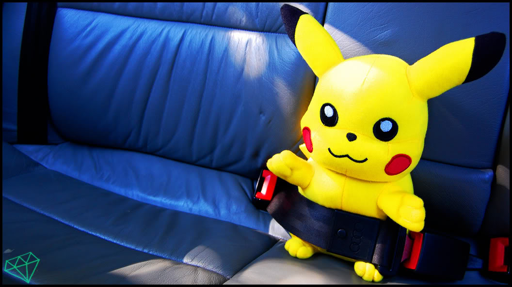 Name:  DSC_0015asffgj-1.jpg
Views: 103
Size:  91.4 KB