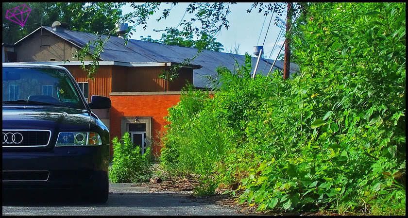 Name:  2009_06230050asdfg.jpg
Views: 65
Size:  184.5 KB