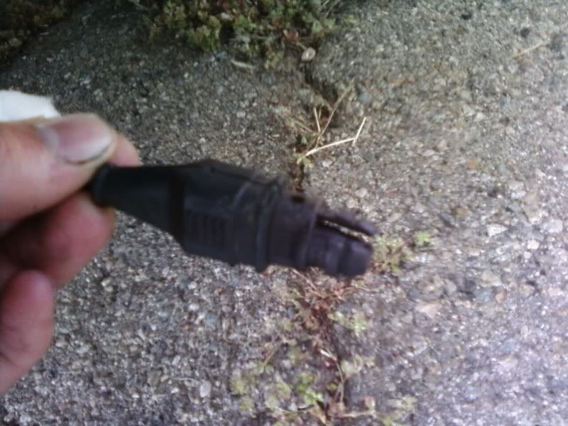 Name:  PIC_0133.jpg
Views: 881
Size:  89.9 KB