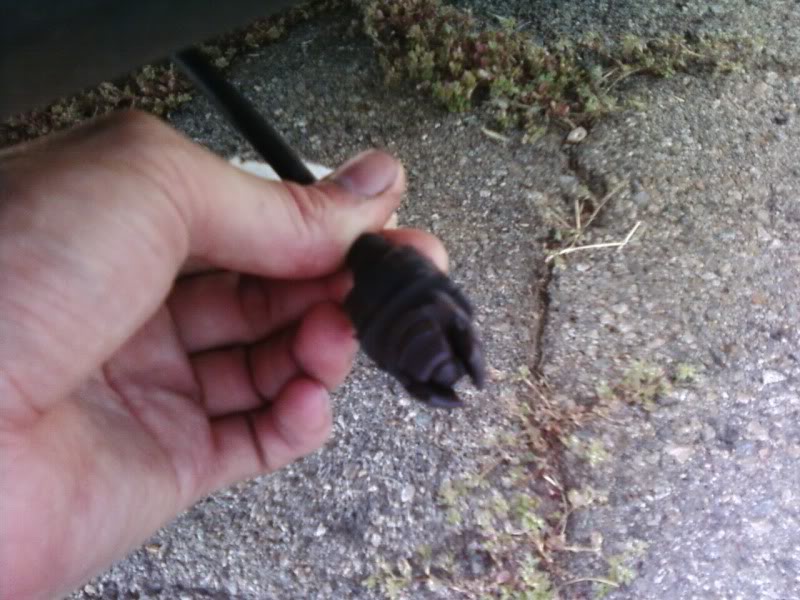 Name:  PIC_0134.jpg
Views: 892
Size:  86.0 KB