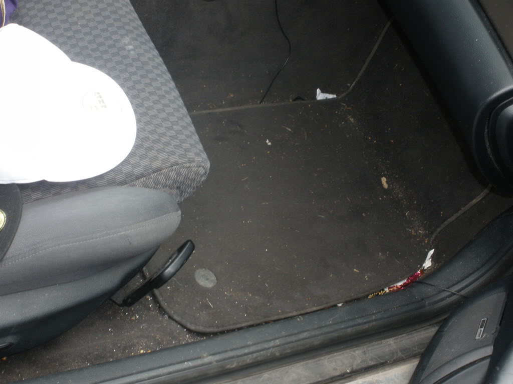 Name:  wildwoodandridehomefromfl121.jpg
Views: 37
Size:  89.3 KB