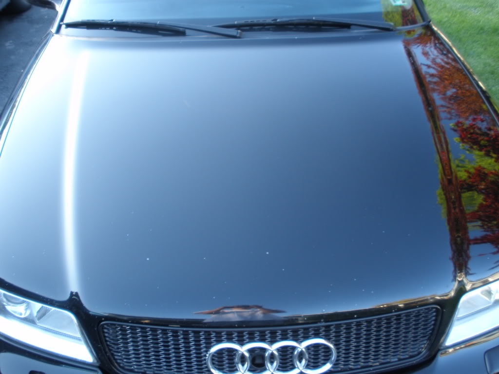 Name:  wildwoodandridehomefromfl127.jpg
Views: 37
Size:  86.7 KB