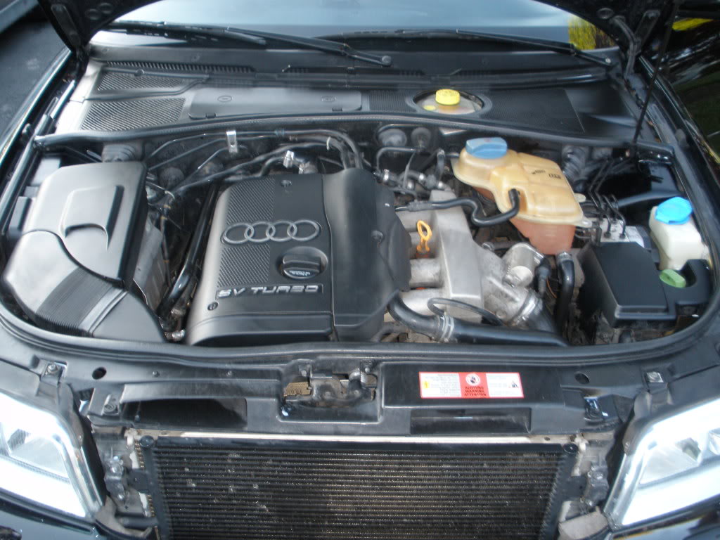 Name:  wildwoodandridehomefromfl133.jpg
Views: 41
Size:  133.3 KB