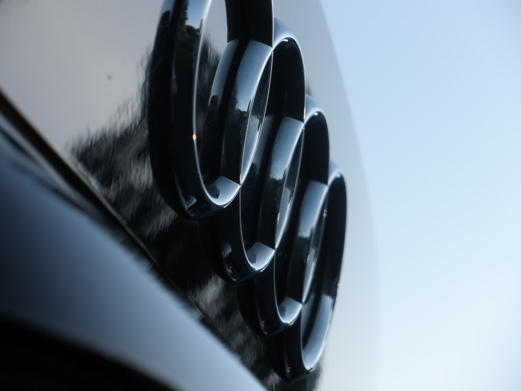 Name:  wildwoodandridehomefromfl145.jpg
Views: 38
Size:  57.0 KB