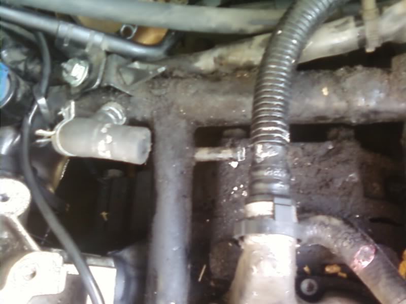 Name:  PIC_0124.jpg
Views: 1556
Size:  47.2 KB