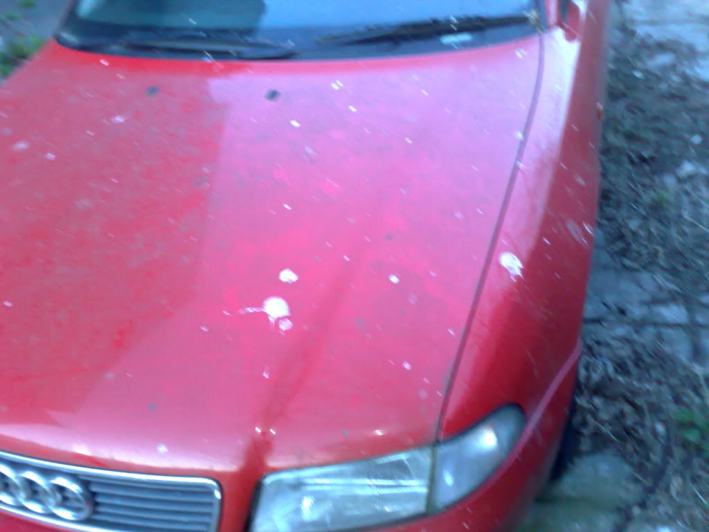 Name:  020420091122.jpg
Views: 69
Size:  71.4 KB
