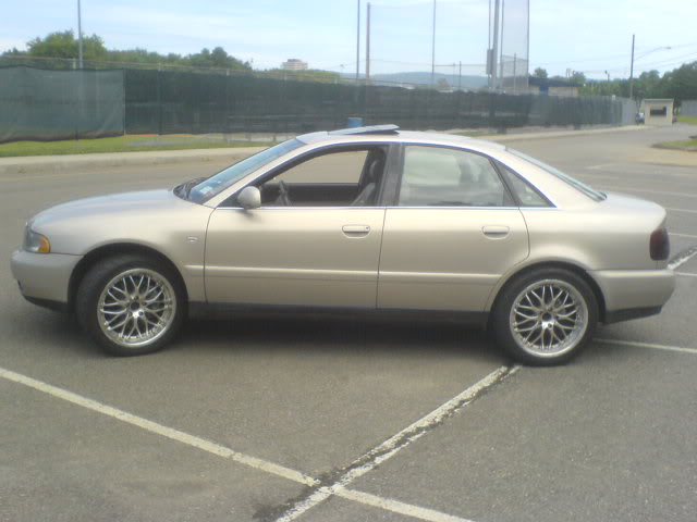 Name:  DSC00283.jpg
Views: 1050
Size:  37.9 KB