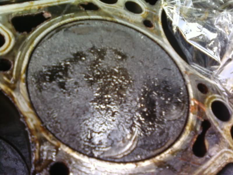 Name:  PIC_0108.jpg
Views: 1782
Size:  72.0 KB