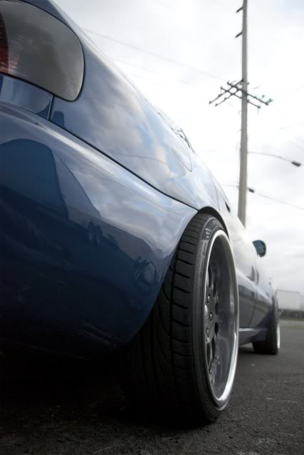 Name:  DSC_3916.jpg
Views: 85
Size:  27.5 KB