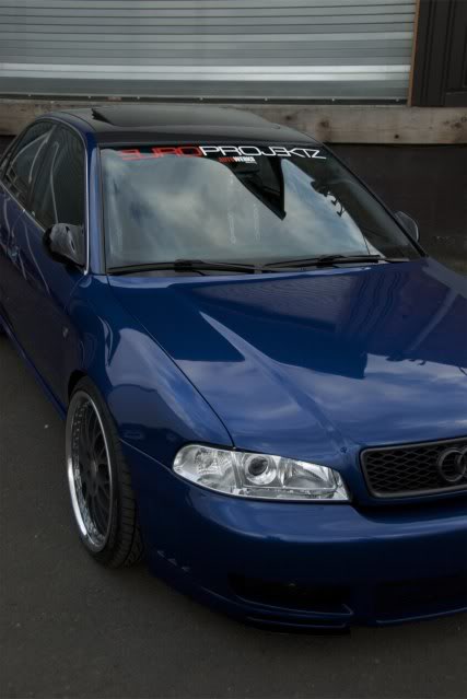 Name:  DSC_3940.jpg
Views: 74
Size:  32.7 KB