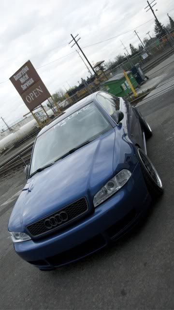 Name:  DSC_3965.jpg
Views: 78
Size:  36.8 KB