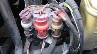 What is this thing?-img_1084.jpg