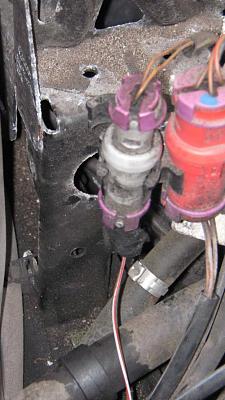 What is this thing?-img_1085.jpg