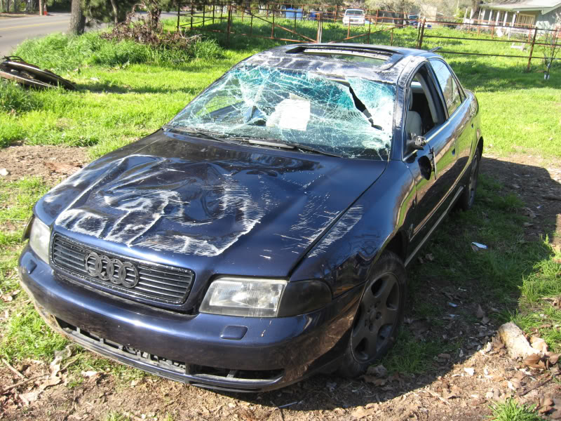 Name:  pooraudi.jpg
Views: 29
Size:  176.7 KB
