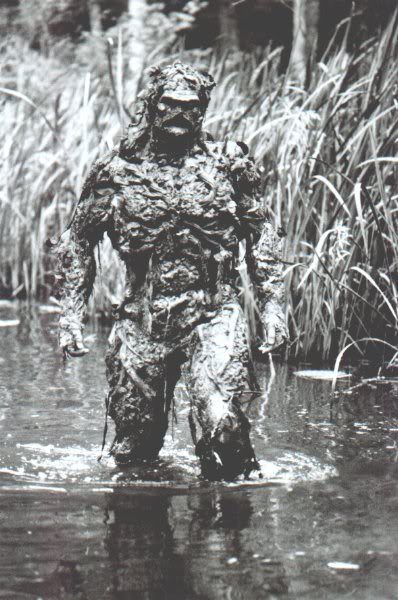 Name:  swampmov4.jpg
Views: 91
Size:  61.9 KB