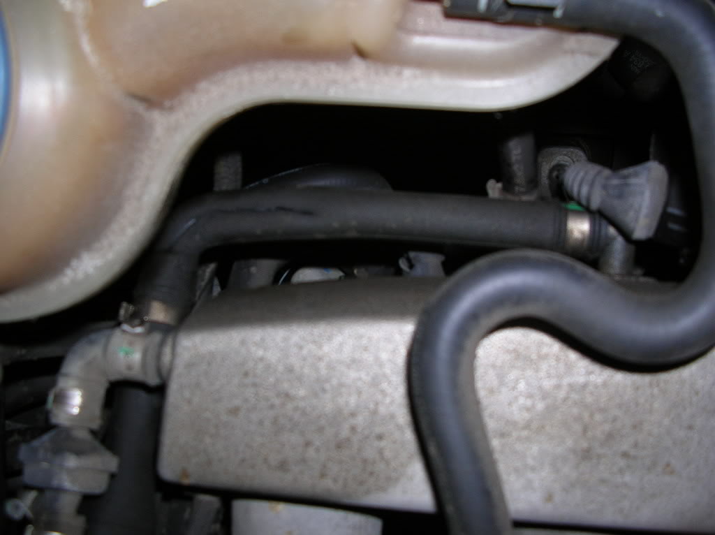 Name:  DSCN1869.jpg
Views: 169
Size:  58.8 KB