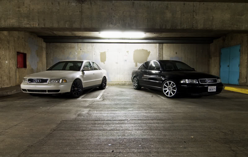 Name:  photoshoot1.jpg
Views: 76
Size:  86.5 KB