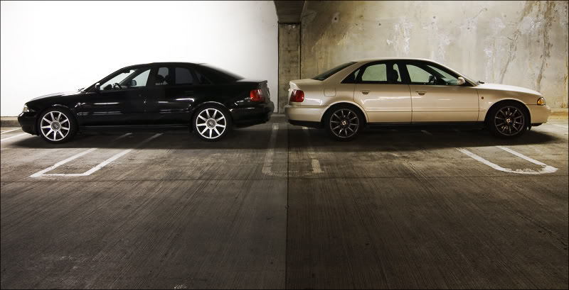 Name:  photoshoot2.jpg
Views: 62
Size:  65.3 KB