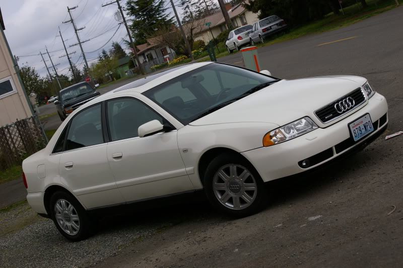 Name:  FREESHOOT018.jpg
Views: 119
Size:  141.6 KB