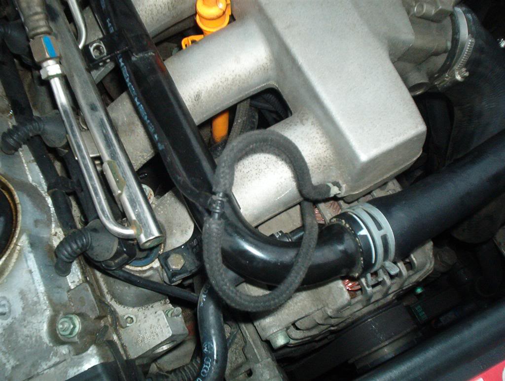 Name:  IM001151Large.jpg
Views: 137
Size:  106.0 KB