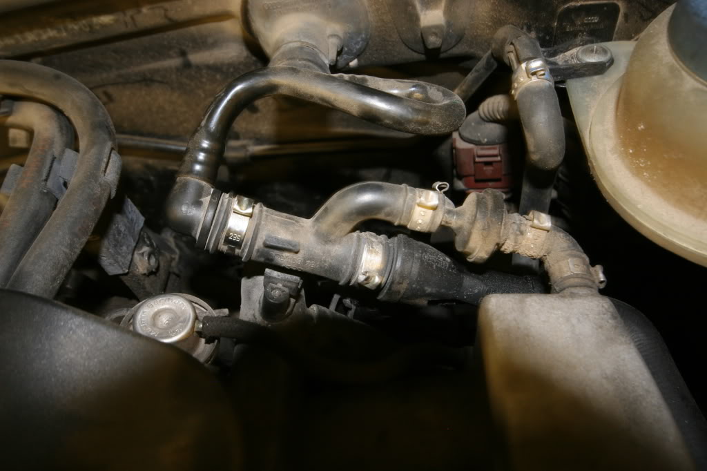 Name:  IMG_9021.jpg
Views: 24
Size:  88.2 KB