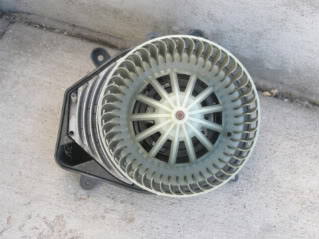 Name:  P9070072.jpg
Views: 2995
Size:  19.6 KB