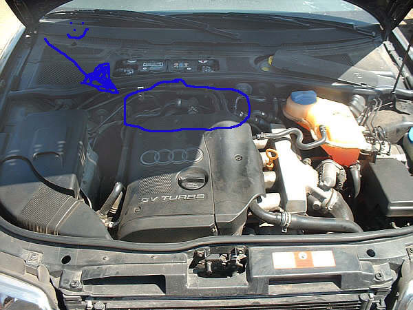Name:  engine.jpg
Views: 37
Size:  62.6 KB