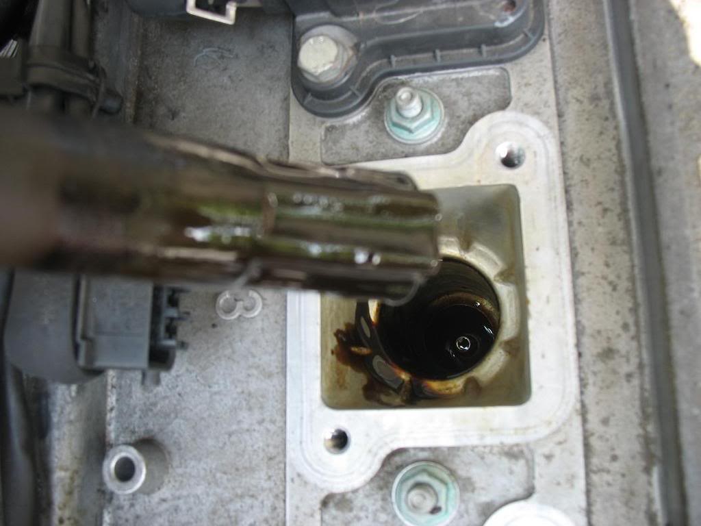 Name:  Coilpacks001.jpg
Views: 23
Size:  70.1 KB