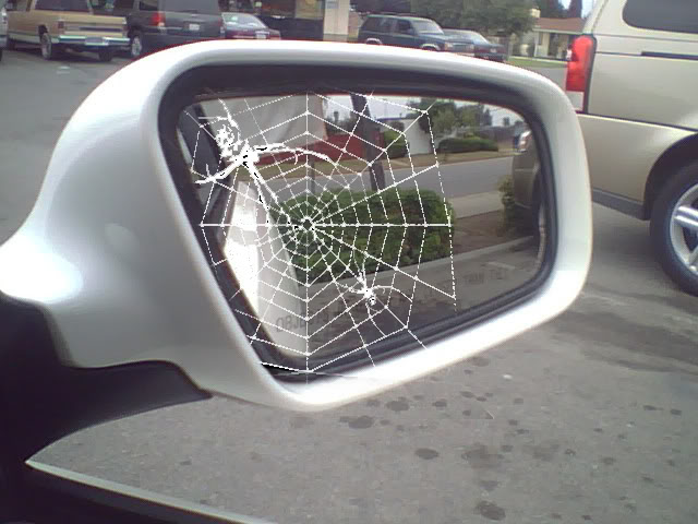 Name:  a4spider.jpg
Views: 50
Size:  60.5 KB