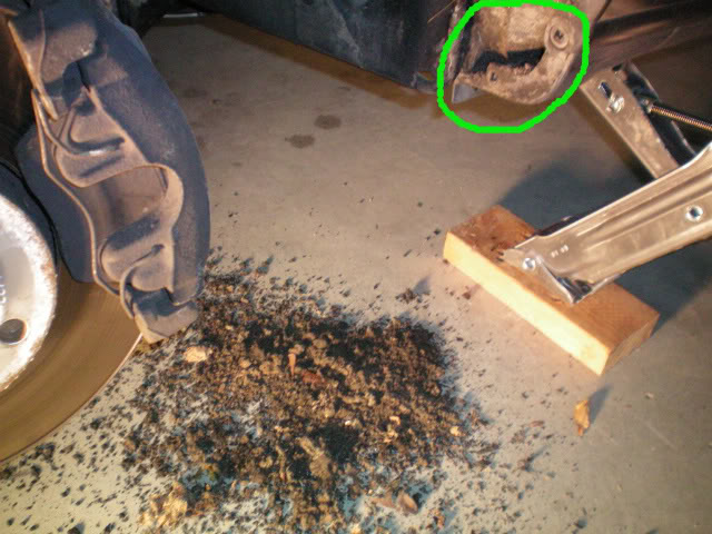 Name:  100_0354-1.jpg
Views: 62
Size:  72.0 KB