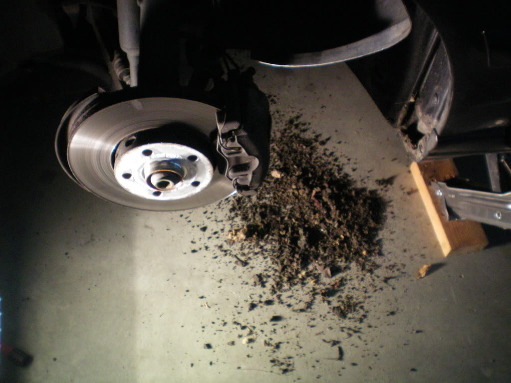 Name:  100_0357.jpg
Views: 77
Size:  105.2 KB