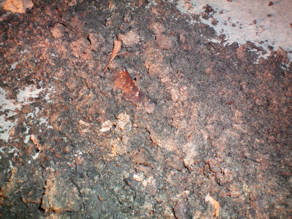 Name:  100_0356.jpg
Views: 100
Size:  211.1 KB